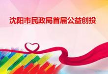沈阳市民政局[2017]第129号文件——关于公益创投活动方案的通知